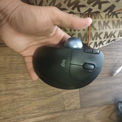 Logi Bluetooth Mouse