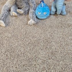 Stuffed Animals 