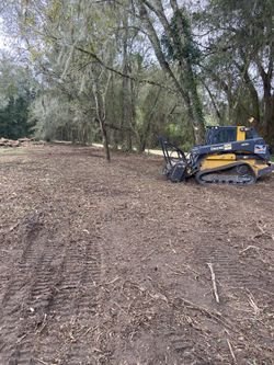 Mulching/ Under Brushing Of Heavy Vegetation On Your Land