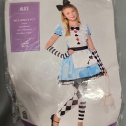 Alice Halloween Costume Girls 10-12 New