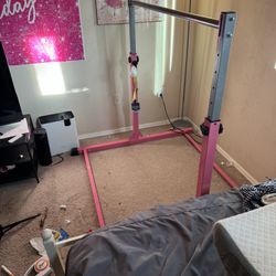 Pink Bar (Excellent Shape) Need to get rid of Quickly)