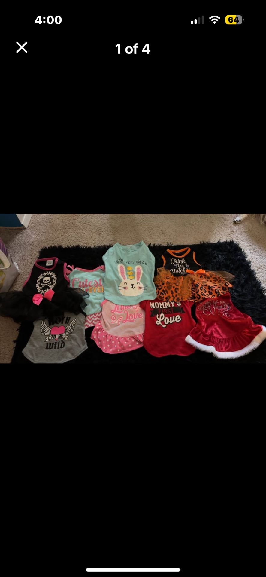 Dog Clothing Bundle
