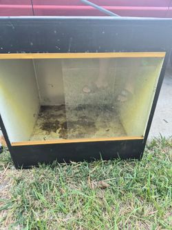 Reptile enclosure  habitat