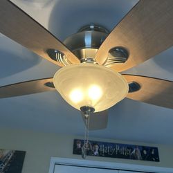 Ceiling Fan