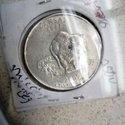 2005 Buffalo 🦬 Nickel