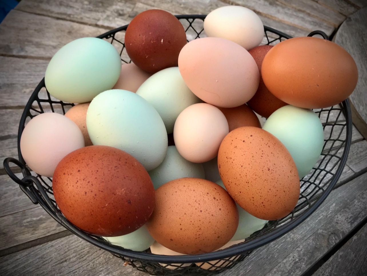 Farm Fresh Chicken Eggs