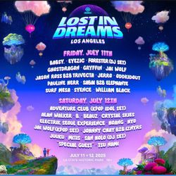 Insomniac Lost In Dreams