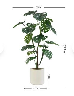 Faux 5.5' Monstera Plant