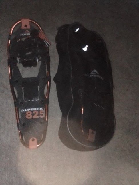 Alptrek Snowshoes