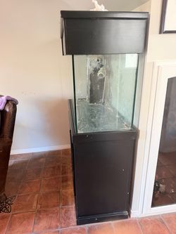 Salt Water Fish Tank