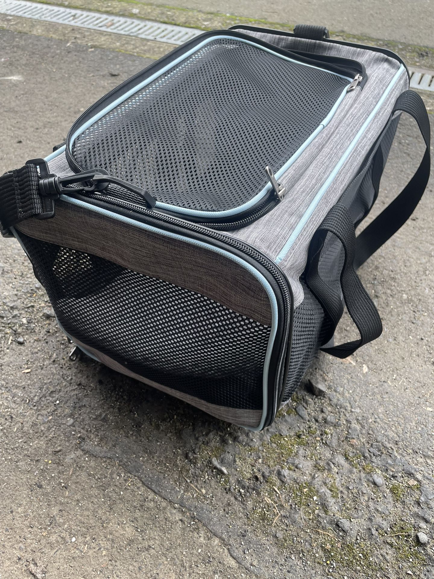 Small Animal Carrier