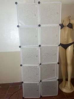 Modular Plastic Storage Organizer / Closet Shelving Unit (9 Cubes)