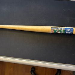 Shawn Green 4 HR Game Commemorative Mini Bat Dodgers