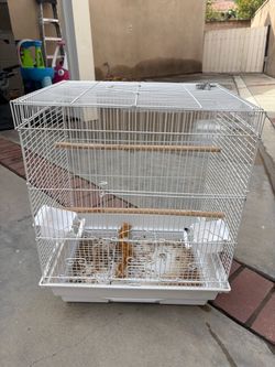 Bird Cages