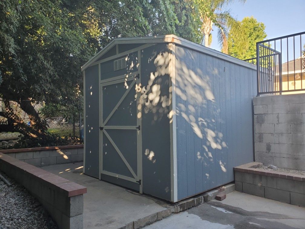 10x10 Shed