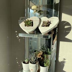 Mirror Shelves