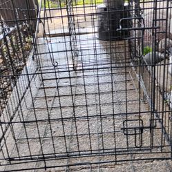 Dog Cage  (Medium Size) 