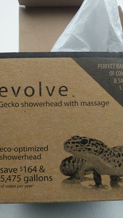 Evolve Showerhead