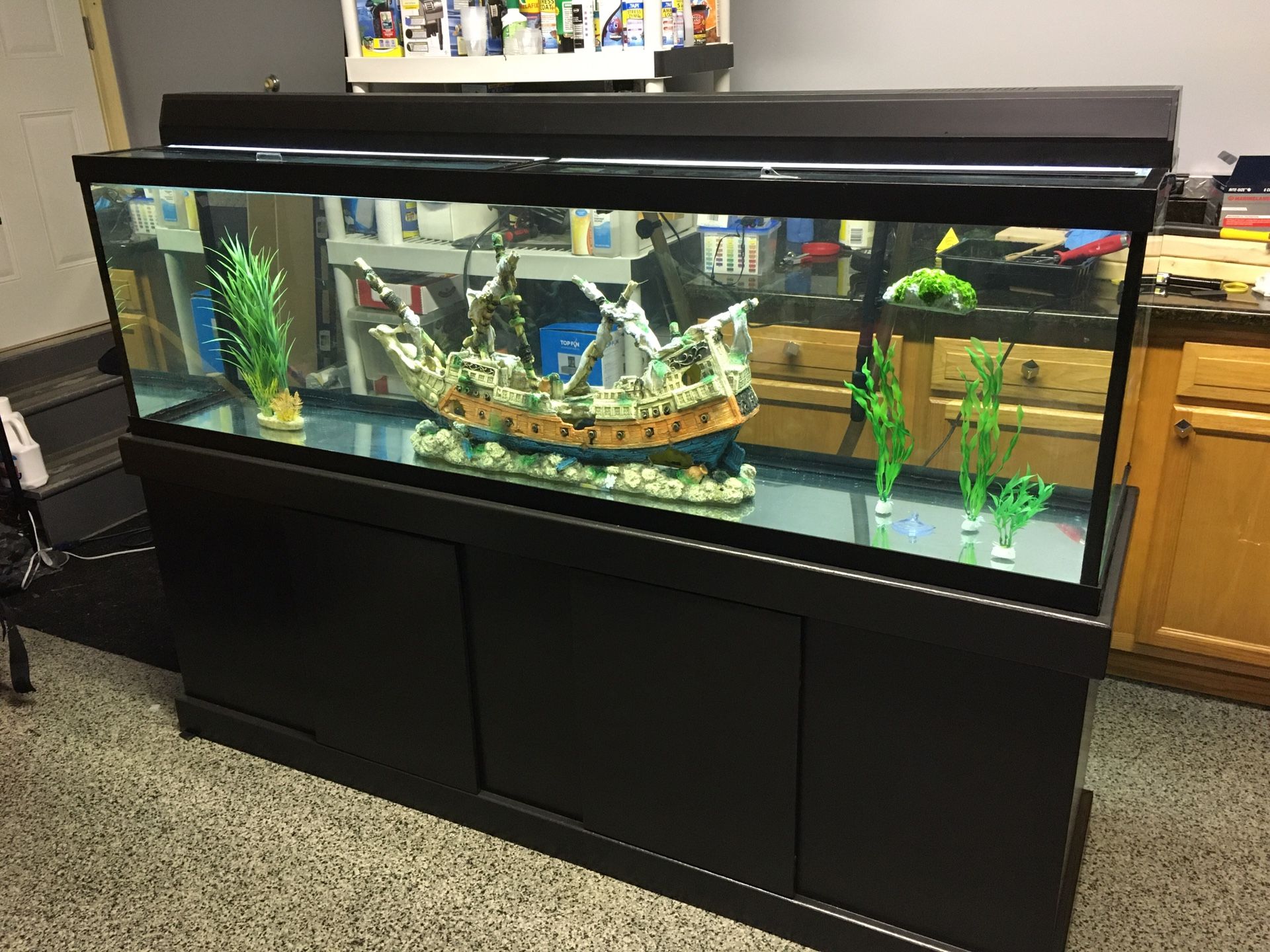 125 gallon fish tank/aquarium and stand