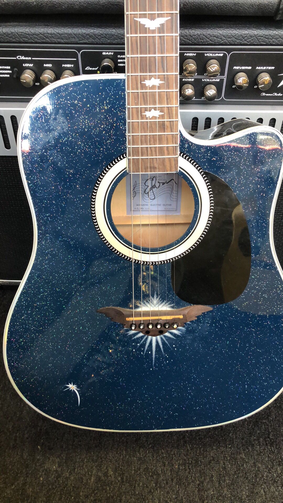 Esteban American Legacy Starlight Limited Edition Acoustic/Electric Guitar
