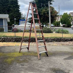 Werner 10’ Ladder