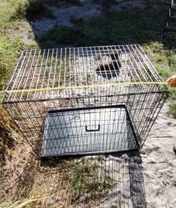 Large Dog Crate