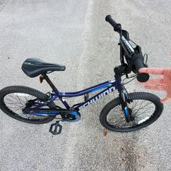 Schwinn Falcon 20" (Like New)