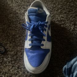 Nike Dunks