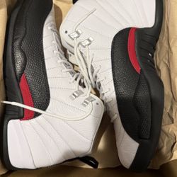 jordan 12