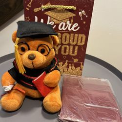 New Graduation Teddy bear With Gift Bag And Tissue Choose Color  $10 Each 