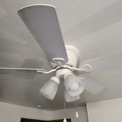 Ceiling Fan. Works Great 