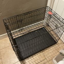 Small/Medium sized
