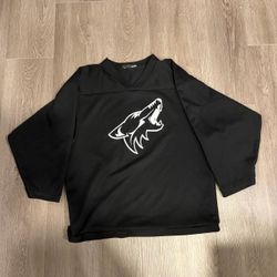 Black Phoenix Coyotes Youth Large Boys Jersey