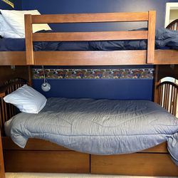 Bunk Beds  Or / Twin Beds Stanley By Young America Brand Maple Wood