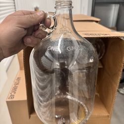 1 Gallon Glass Carboys