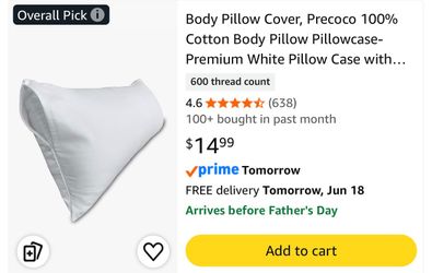 Body pillow cover (Never used)