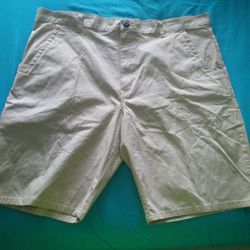 Dickies Shorts