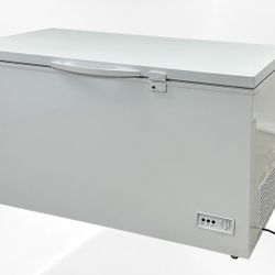 NSF 50 inch Chest freezer 13 cu ft XF-402