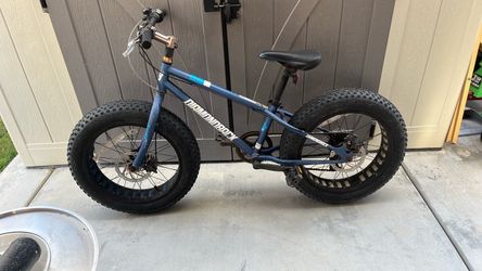 Diamondback Kids Fat Tire Bike
