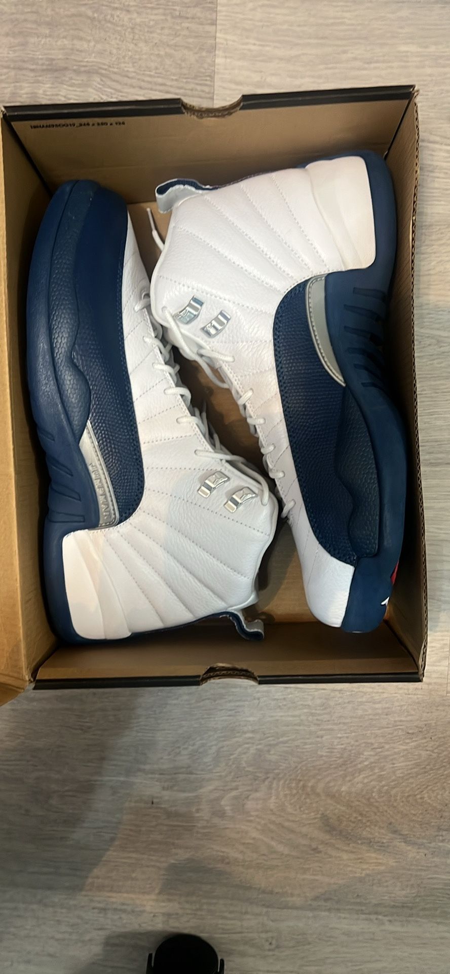 Air Jordan 12’s