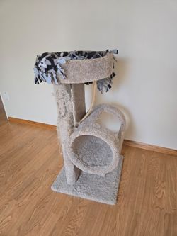Cat scratcher