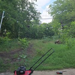 Grass Cut