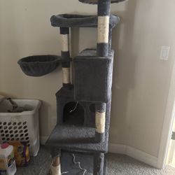 Used Cat Tree