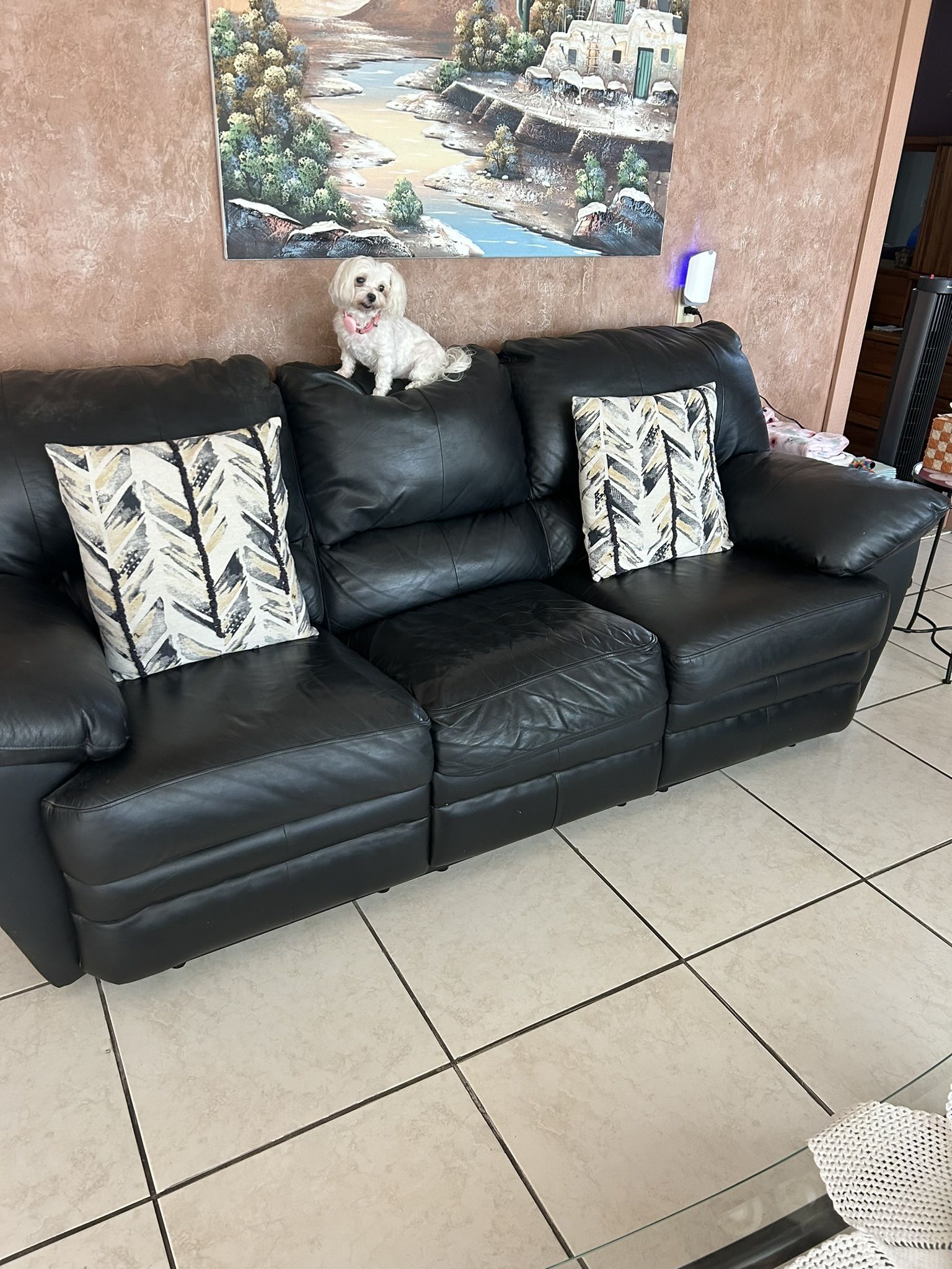Leather Sofa