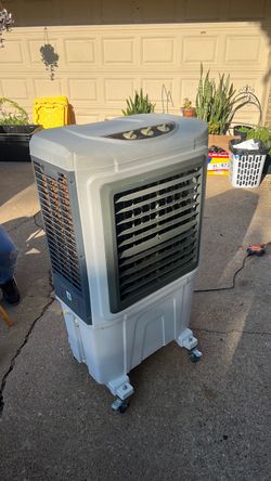 fan