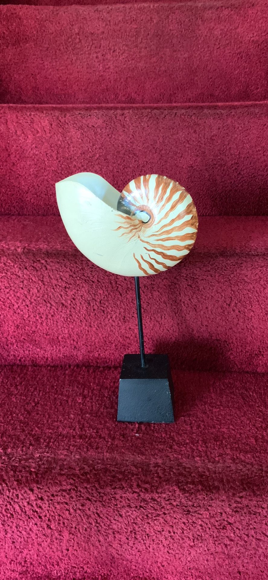 Beautiful ceramic shell with the heavy base 13 inches tall