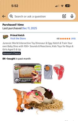 New In Box Dinosaur Hatching Dino