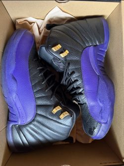 Jordan 12 Purple Field