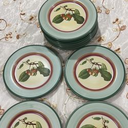 12 pcs Vintage 1748 Villeroy & Boch Plates 