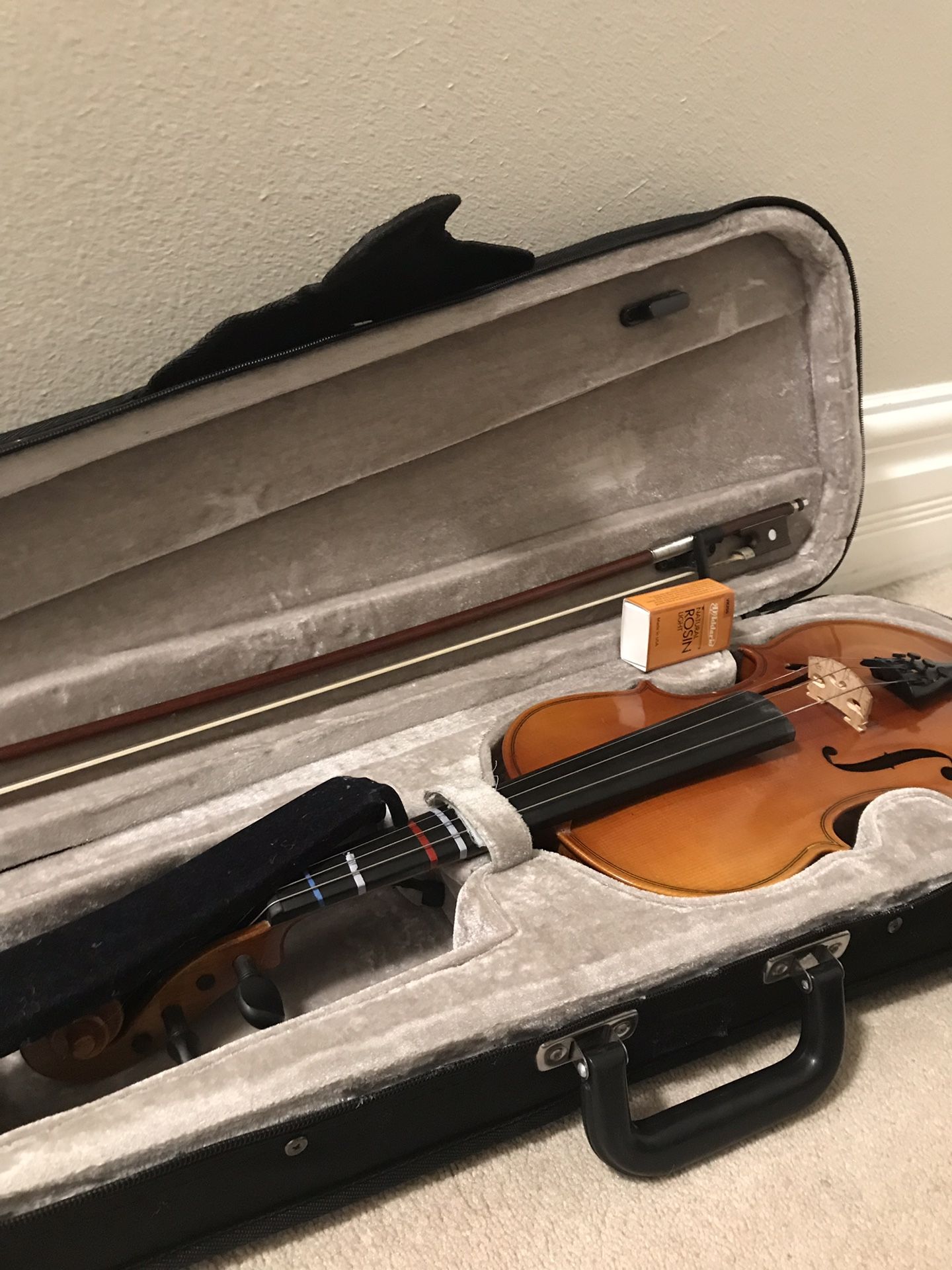 Violin